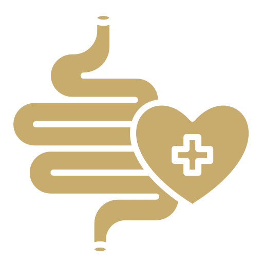 Digestive tract with heart and medical cross