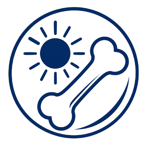 Sun and bone icon