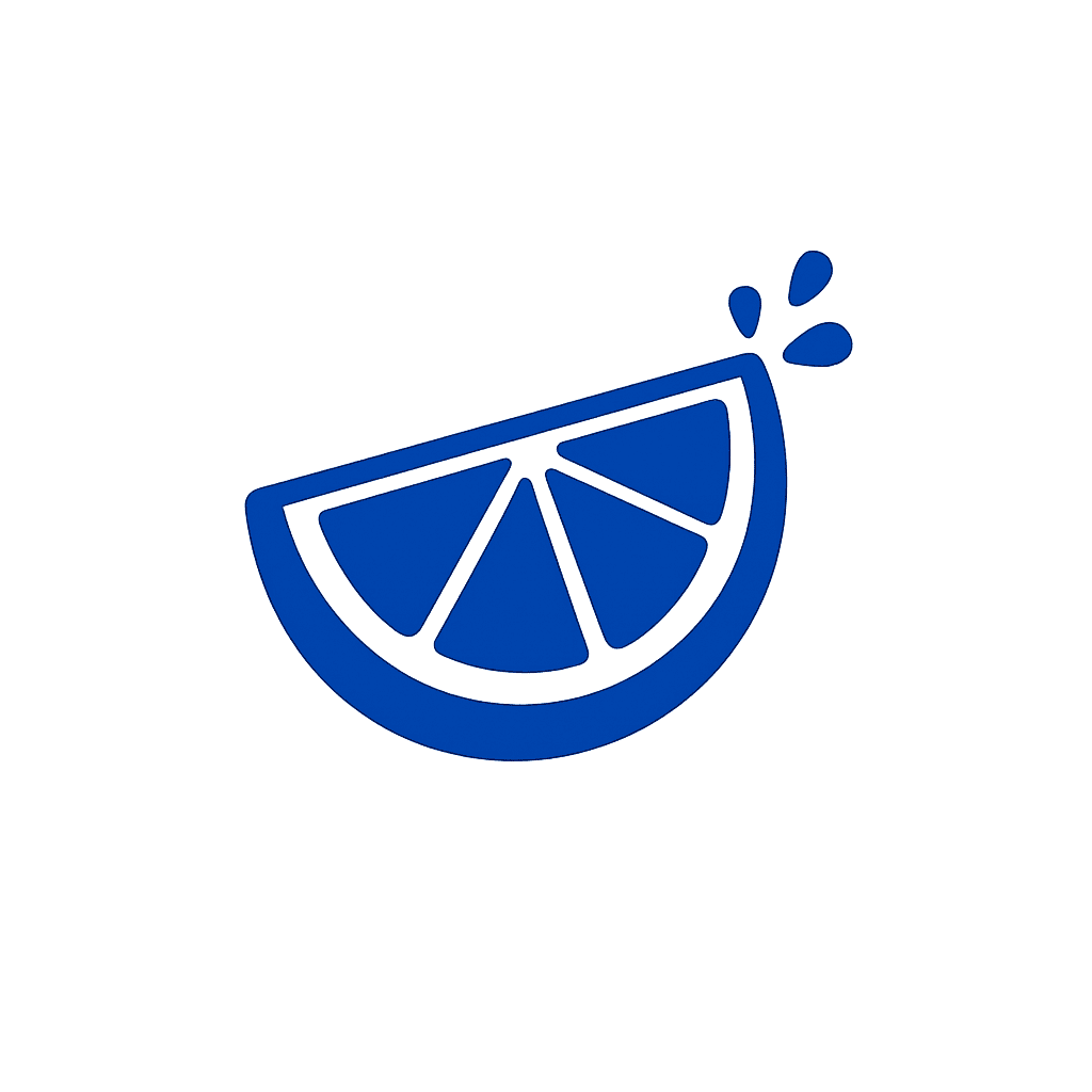 Citrus slice icon